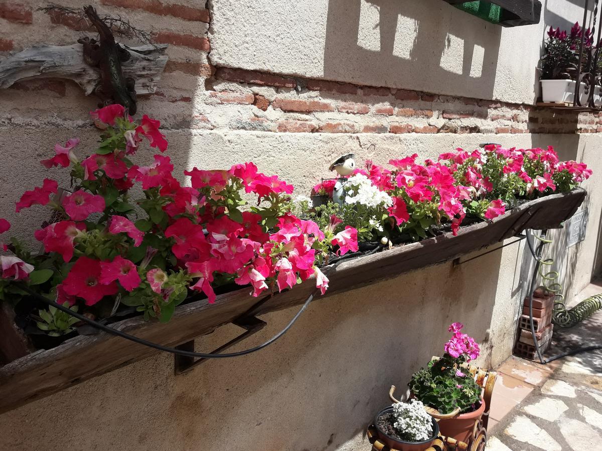 Casa Rural La Casa De Las Manuelas Horcajo de las Torres Екстериор снимка